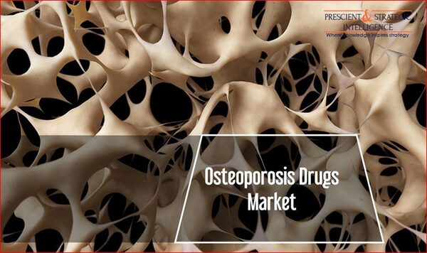 Osteoporosis Drugs Market Share Analysis of The Top Industry Key Players, Growth Opportunities