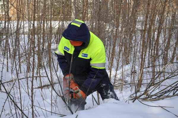 ����������� ���������� ����������  � ��������� ����� ����� ���������������