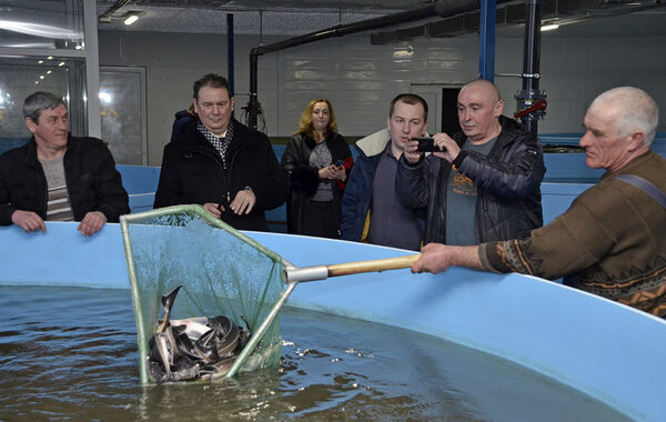 ���������� ������������ �������� �������� �� ���������� ��������� ���