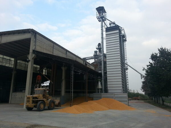 ����� ������ ���������