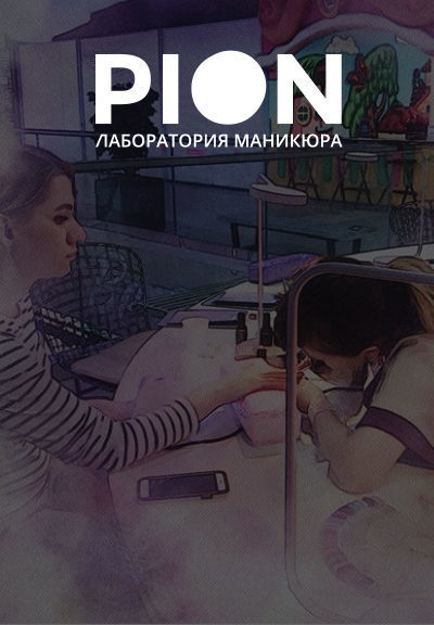 �������� ����������� �������� �PION� � �������-��������������� ������ ������