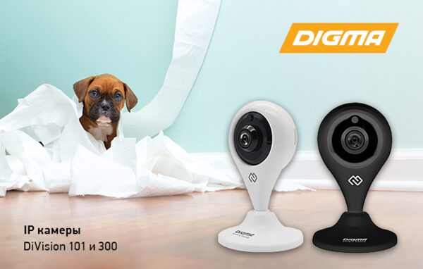   IP- DIGMA DiVision 101  DiVision 300