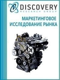      100-800    (   - )