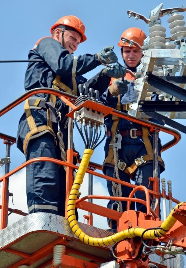 � ������ 2019 ���� ������������ ������������ � ����� ����� 240 ��������