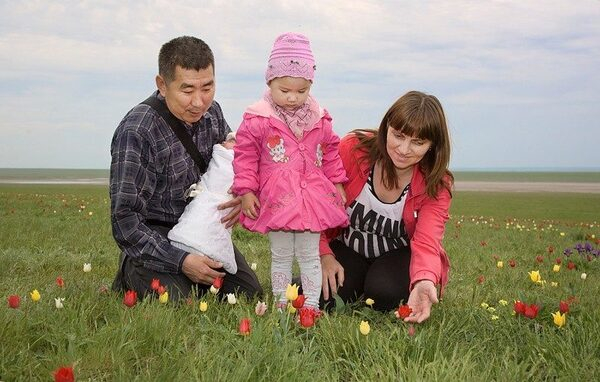 � �������� ����� 22 ����� ����� �������� ����������� �������