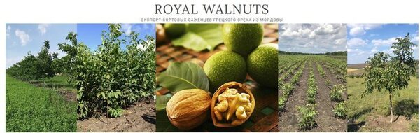 ��������������� �������������� ������� ������� �������� ����� ����������� � ������������ ������ ���������� � ����������� �������� �� �������������