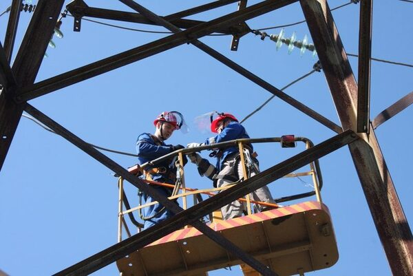 ��������: �� ������ ������ 2019 ���� ��������������� 280 �� ��