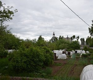 ���������� ���������� �������� �� ��������� �������������