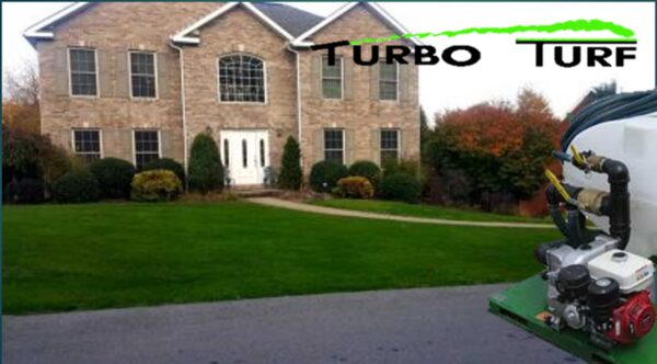 ���� ������ � � ���������� � ������� � ����������� Turbo Turf