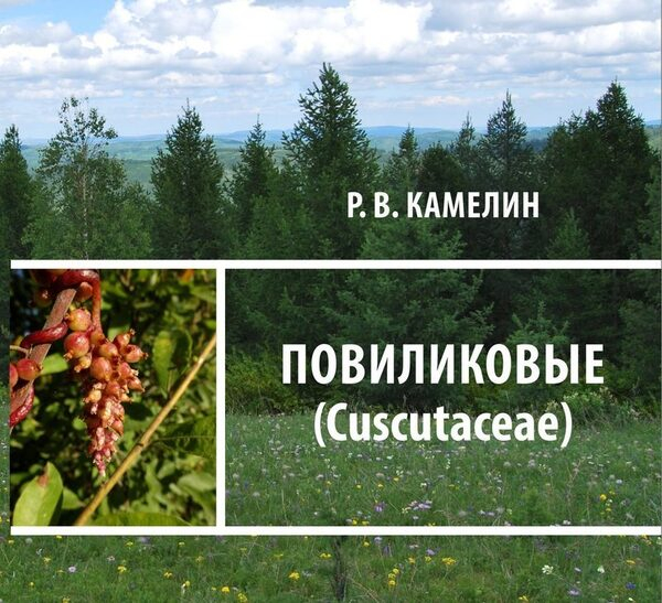 � ����� ������������ ������� ���� ���������� ������������ ����� ���� �.�. ��������