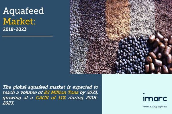 Global Aquafeed Market Report 2019-2024 | Industry Trends, Market Share, Size, Growth and Opportunities