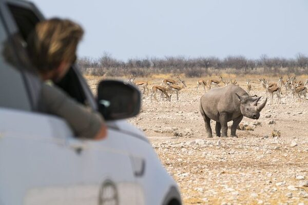 ������ ���� � 