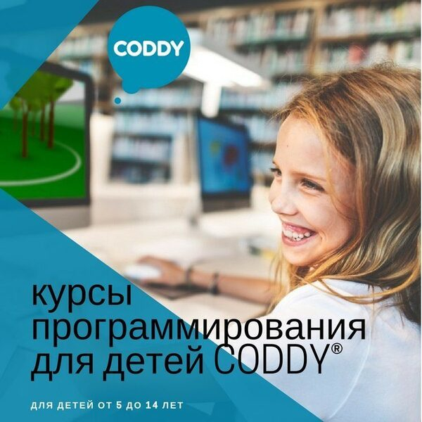     CODDY         - 2019