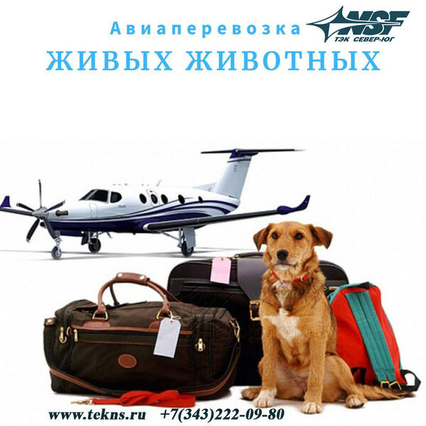 ��������� �������� �������� ����������� ����������� ��� �������������