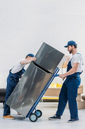 �������-������ ������� � ����� ������