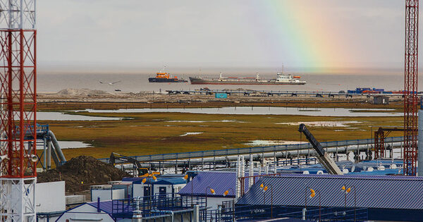 ������ ���� ���������