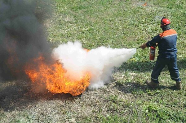 ��������� ������������ �������� ������������ �������� ��������������� ��������� �������