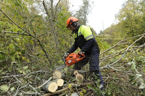 ���������� �������� ����� � ��������� �������� � ������ ���� ���������� 1 196 �� ����� ��� ������� ���������������