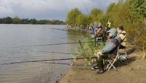 � ������������ ������ ������������ �� ������� ���� ����