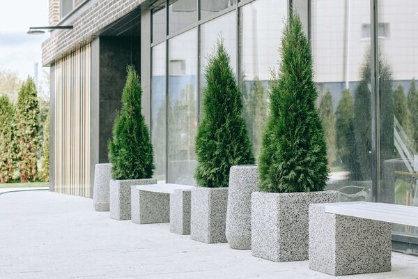 Level Group:     :    Level 