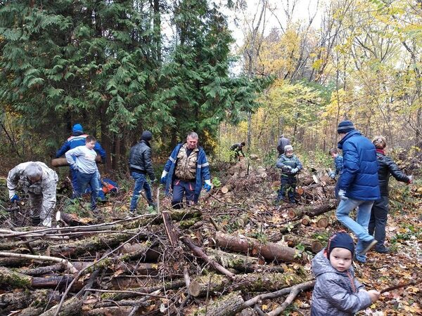 ��������� ������������� ������� ������� � ������ ������������� �����������