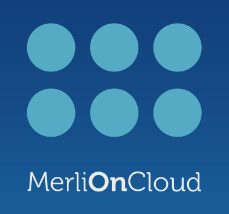MerliOnCloud    Mail.ru Cloud Solutions