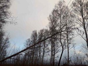 � ���������� ������ ������ ����� ������ ��-�� ��������� �������� �������