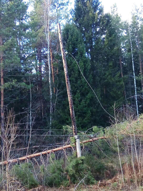 ����������� ���������� ������������ ��������������� ������������