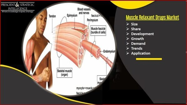 Muscle Relaxant Drugs Market Opportunity Assessment Study