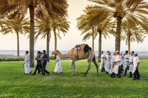    The Chedi Muscat