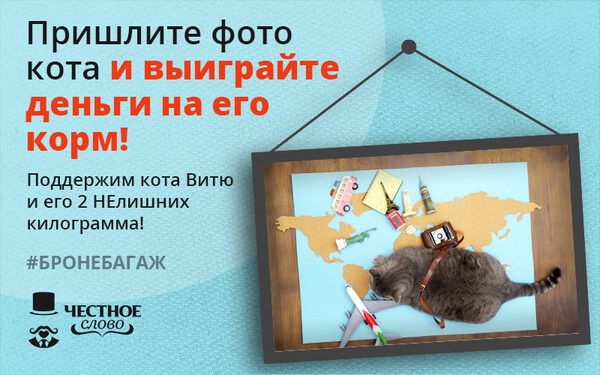 МФК «Честное слово» подарит деньги хозяевам самых упитанных котов!