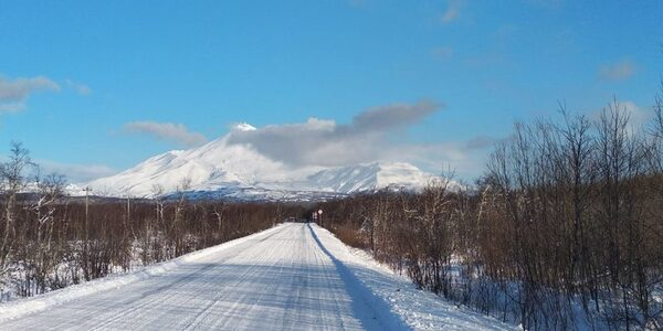 �������-������ ����� �� ��������