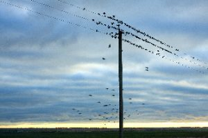 ������������ ������������ ������������� ������������ ���������������� ������������