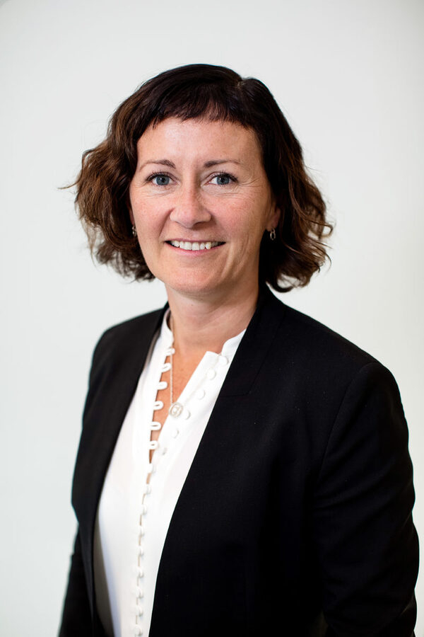 ������ ������� ��������� ����� ����������� � �������������� ���������� �������� �������