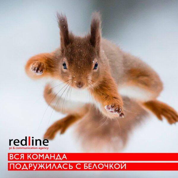 �������� �������� PR-���������: ��� ����� ������ � ����� ��������� Redline PR