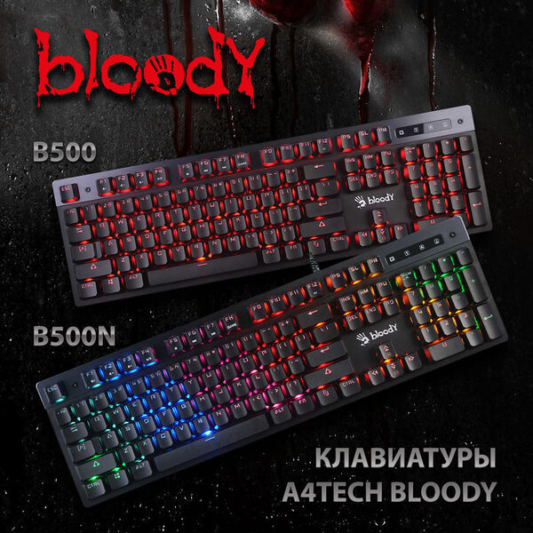 -  B500  B500N:    Bloody