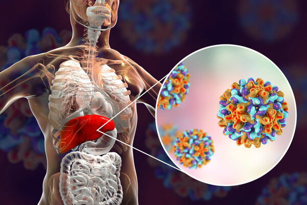 Hepatitis Drugs Market and its Growth Prospect in the Near Future