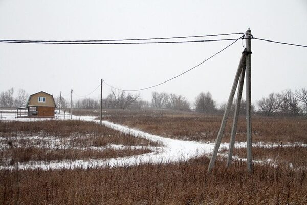 ����������� ������������ � 2019 ���� ���������� ����� 6 000 ����