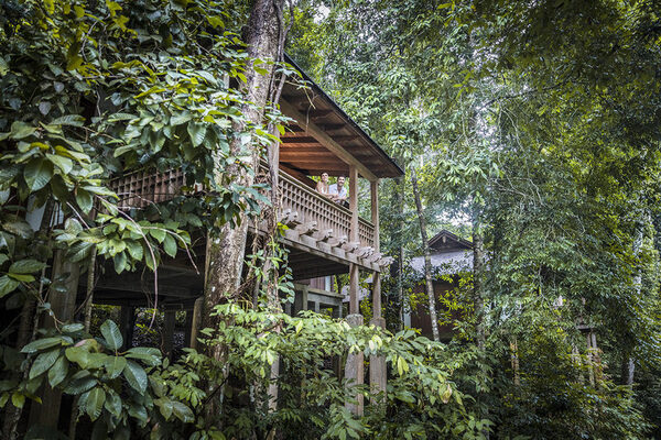      The Datai Langkawi