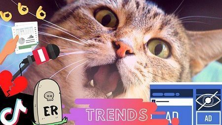 ������ �����, ������������� ER � ����� ����� ����� � Facebook: ������ �������� 2020