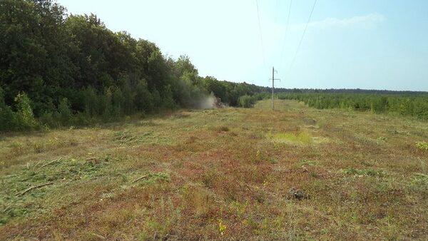 ����������� ���������� ����������  � ��������� ����� ����� ���������������