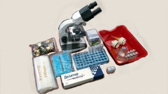 ���������� ������������ �������