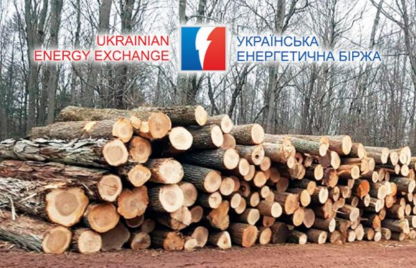 ���������� ����������� �� ������ �������������� ���������� ����������� � ��� ����