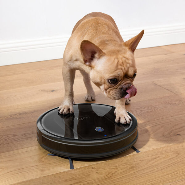   - Eufy RoboVac   DNS