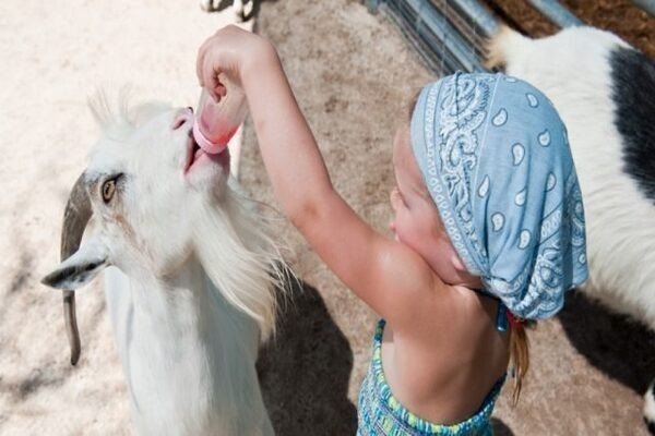 �������� ���� ��������������� ������� Covid-19 �� ����������� �����������