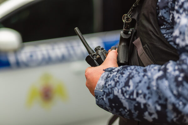 � ������������� ������������ ��������� �������������� � �������� ����������