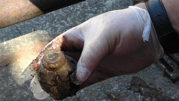 �� ������� ����� ���������� ���������� ������� ���������� ������������������ ������� � ������������ ��������, �������� �� ���������