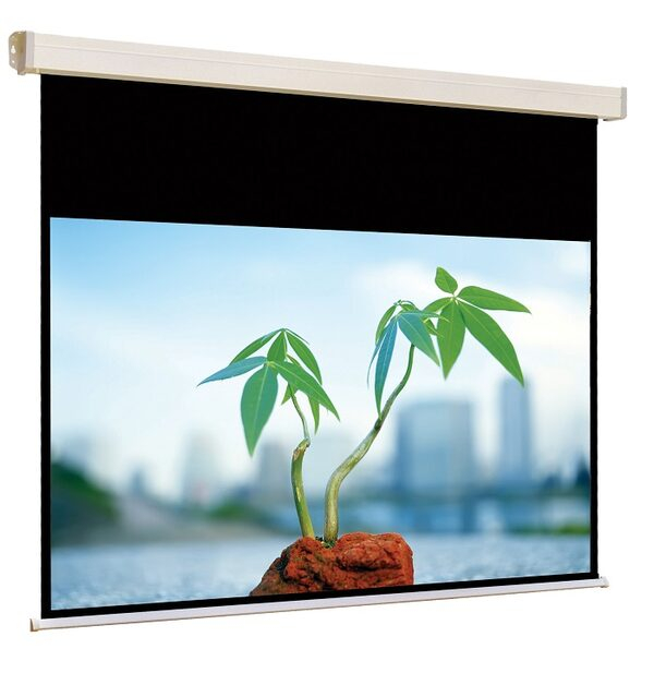     JT Motors Rollo Electric Intelligent