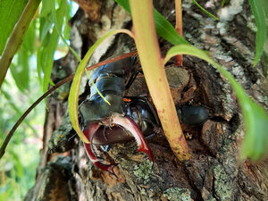 � ���� ������������ ������� ��� �������� ����� �������� ����������� ����-�����