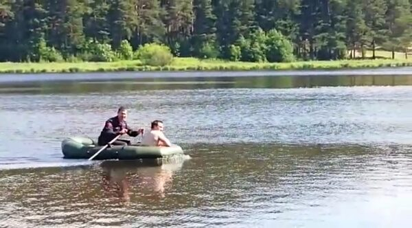 ������������ ������������ ������ ����������